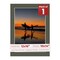 Dark Olive Green Mat Board for 12x16 Frames - Fits 10x14 Photos